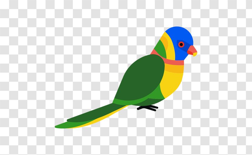 Parakeet Bird Cockatoo Clip Art - True Parrot Transparent PNG