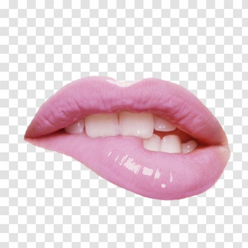 Lip Balm Clip Art - Jaw - Lips Transparent PNG