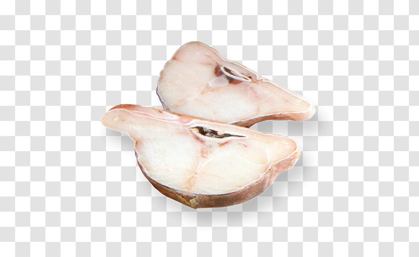 Clam Jaw Shoe - Pota Transparent PNG