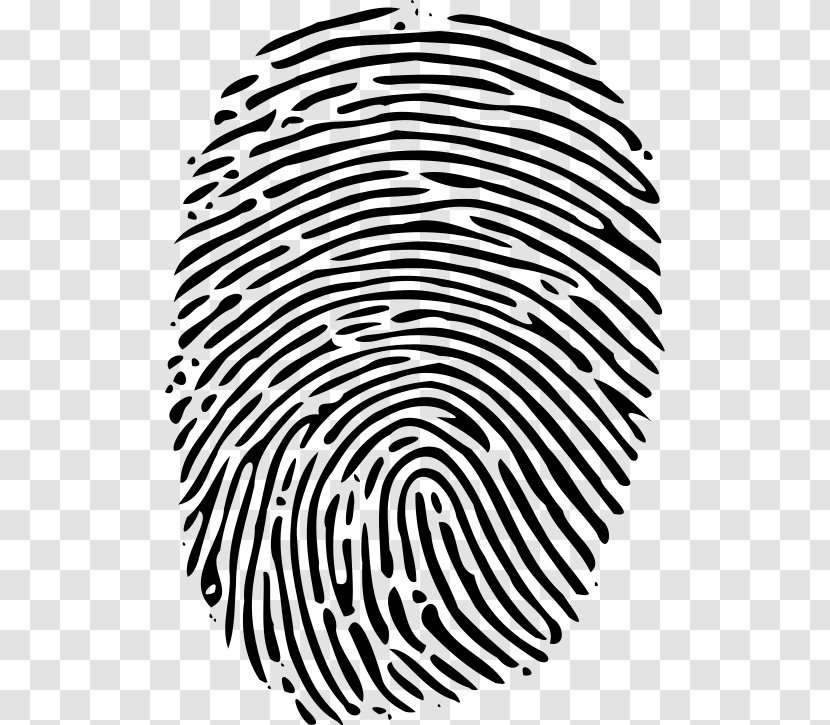 Fingerprint Clip Art - Monochrome Photography - Billow Transparent PNG