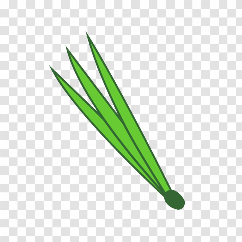 Green Line Leaf - Grass Transparent PNG
