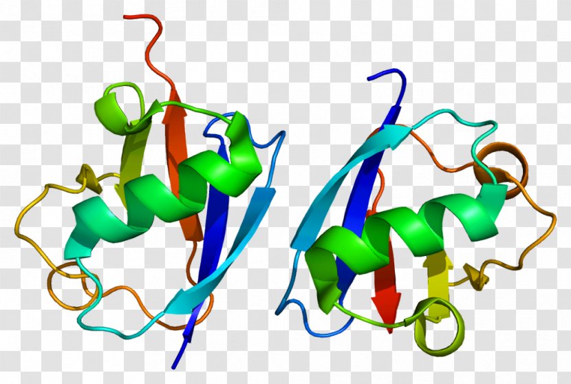 UHRF1 RING Finger Domain Gene Cell Molecular Biology - Flower - Watercolor Transparent PNG