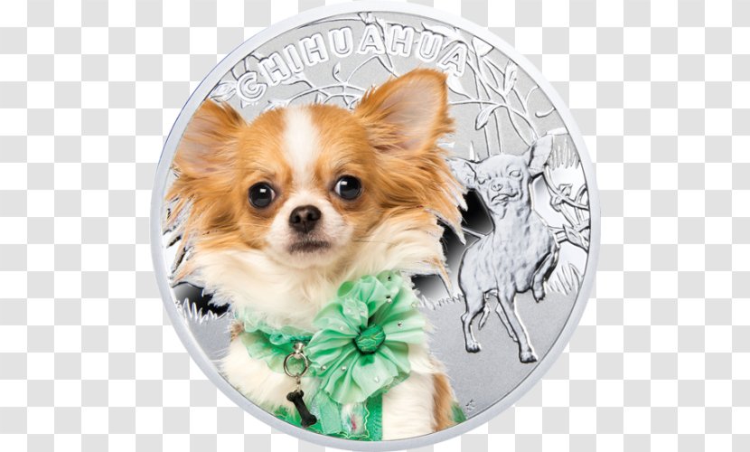 Chihuahua Mint Coin Cat Silver Transparent PNG