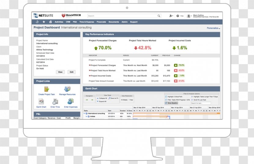 NetSuite User Interface Computer Software Enterprise Resource Planning - Web Page - Service Transparent PNG