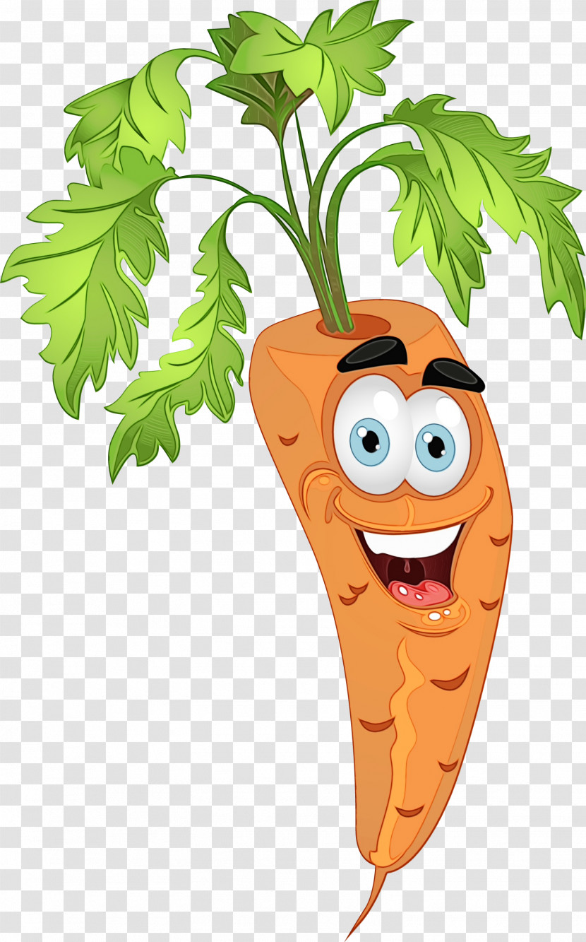 Carrot Cartoon Vegetable Leaf Root Vegetable Transparent PNG