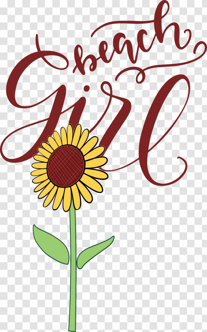 Floral Design Transparent PNG