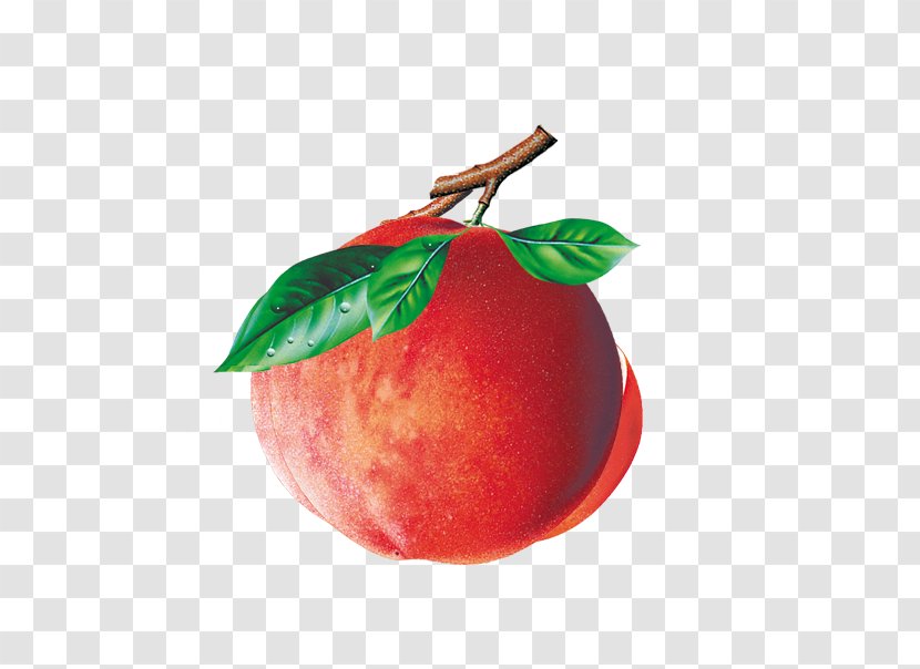 Peach Auglis Food Transparent PNG