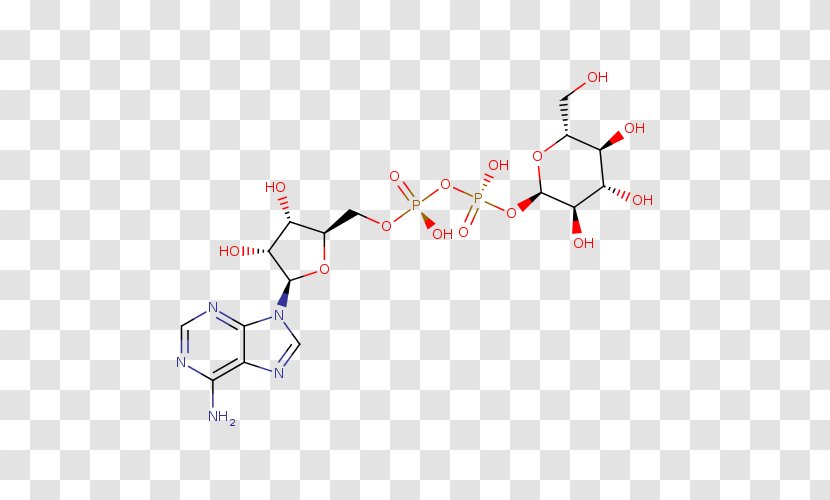 Adenosine Monophosphate Chemical Compound Human Metabolome Database Purine - E Coli - Amylopectin Transparent PNG
