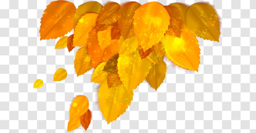 Autumn Clip Art Stock Photography Vector Graphics Yellow - Accessori Ornament Transparent PNG