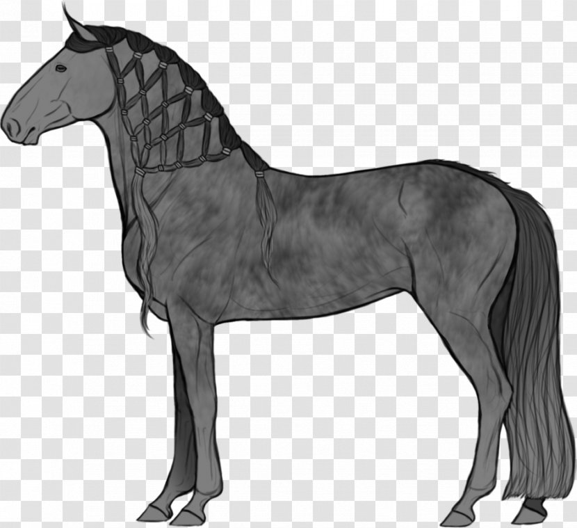 Mane Mustang Stallion Mare Pony - Foal Transparent PNG