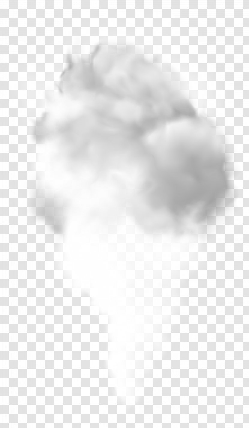 Cumulus White Desktop Wallpaper Computer Sky Plc - Tree - Fume Transparent PNG