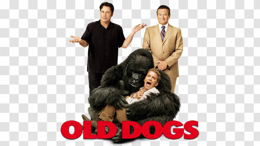 Old Yeller YouTube Dog Film Father - Robin Williams - Kelly Preston Transparent PNG
