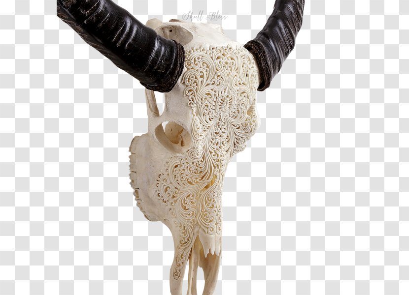 Animal Skulls Cattle Buffalo - Ram - Skull Transparent PNG