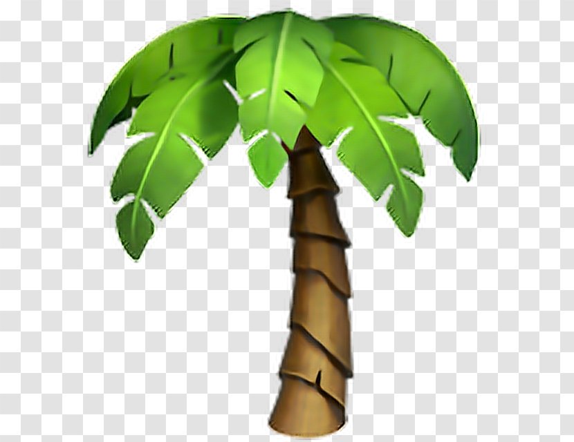 Emojipedia Arecaceae Tree Emoji Domain - Plant Stem Transparent PNG