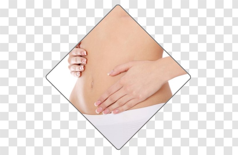 Areolar Gland Pregnancy Health Diet Abdominoplasty - Skin Transparent PNG