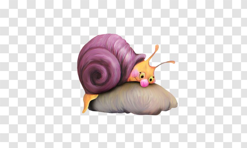 Snail Racing - Cartoon Transparent PNG