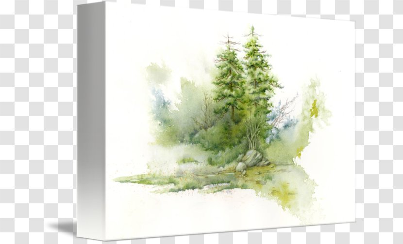 Watercolor Painting Landscape Art - Fir Transparent PNG