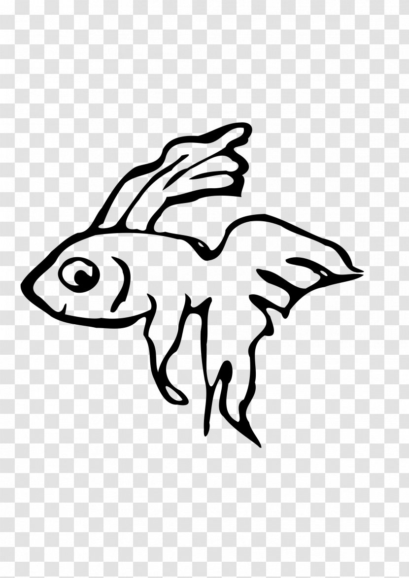 Siamese Fighting Fish Drawing Clip Art - Tail - Betta Transparent PNG