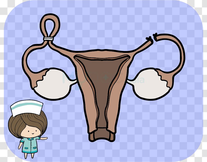 Cattle Pregnancy Uterus Ligase Fertility - Watercolor - Medical Procedure Transparent PNG