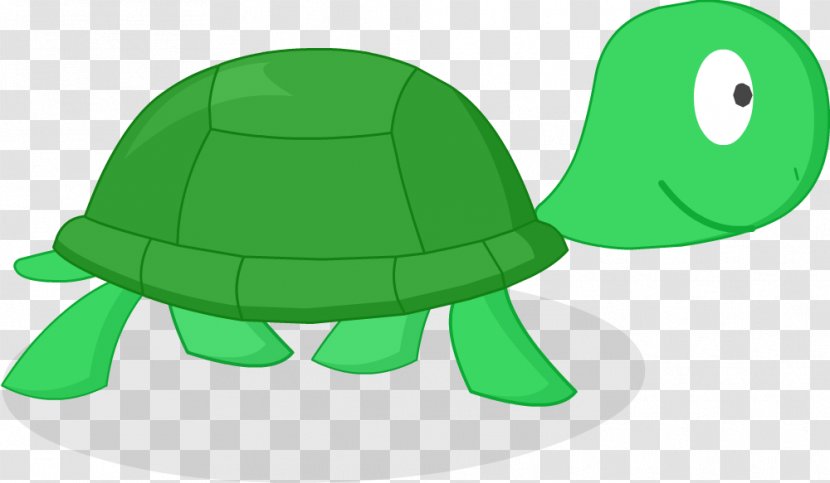 Turtle Wikia Image Mundo Gaturro Transparent PNG