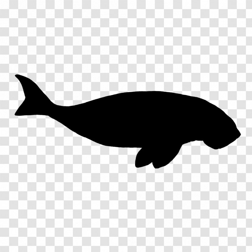 Dolphin Porpoise Whales Cetaceans Clip Art - Bowhead Transparent PNG
