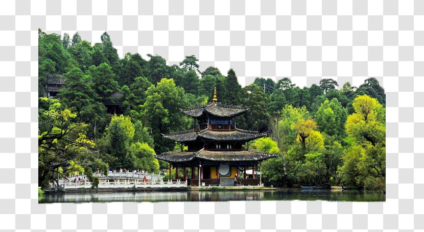 Chinese Architecture - Tourist Attraction - A Small Pavilion Between The Trees On Other Side Of River Transparent PNG