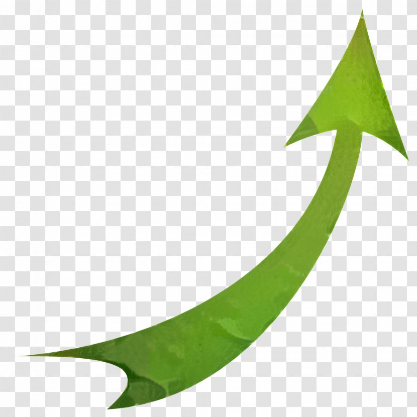 Clip Art Transparency Arrow - Logo - Green Transparent PNG