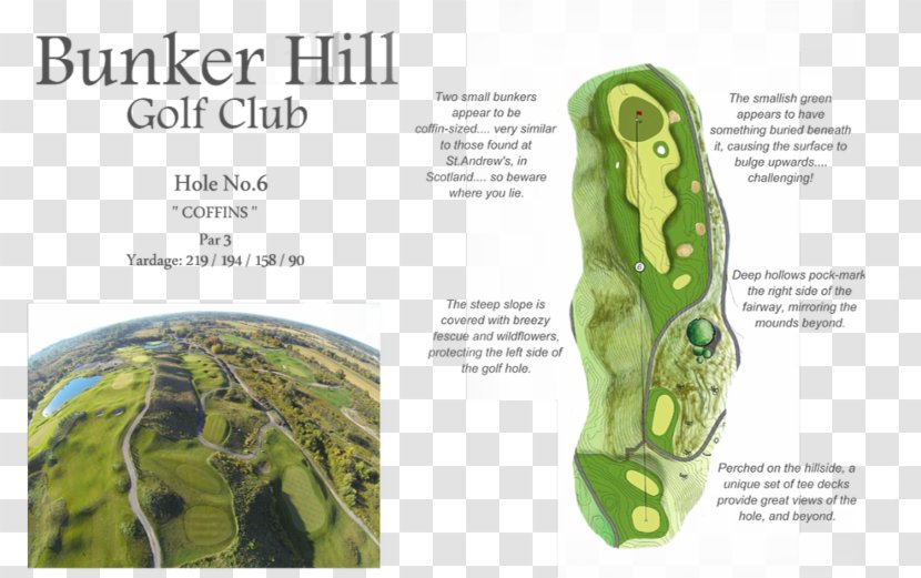 Bunker Hill Golf Club Course Hazard Hitman - Pickering Transparent PNG