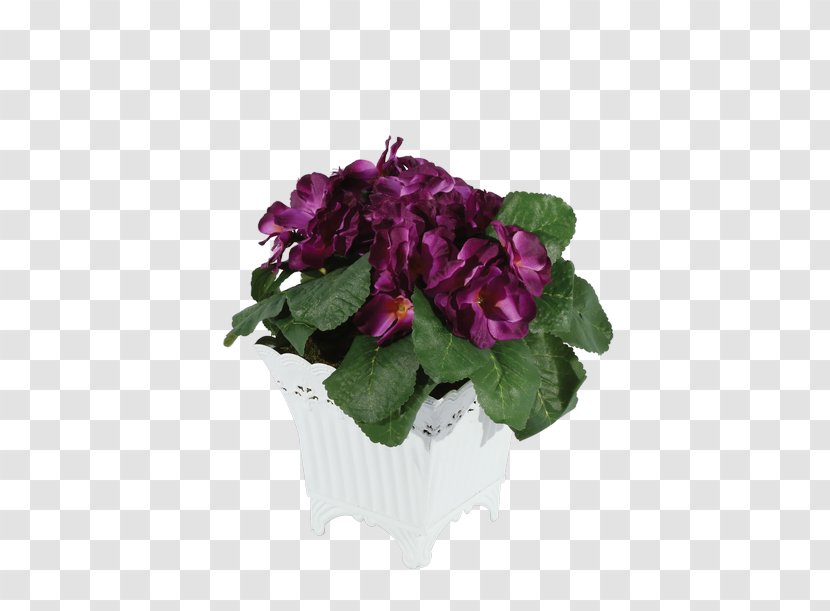 Cyclamen Violet Flowerpot Annual Plant Cut Flowers Transparent PNG