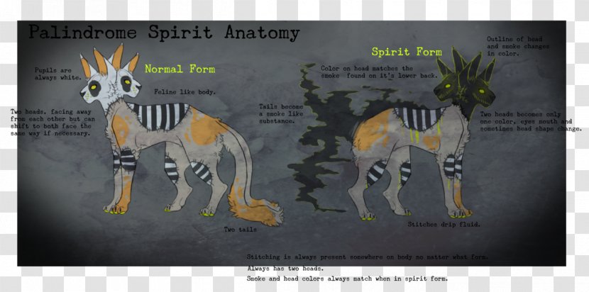 Horse Illustration Mammal Cartoon Poster - Animated Transparent PNG