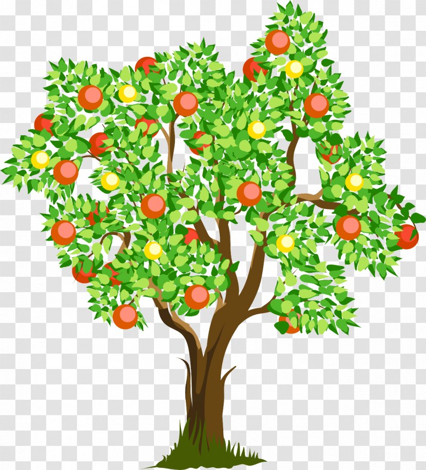 Tu BShevat Hebrew Illustration - Flowering Plant - Cartoon Tree Transparent PNG