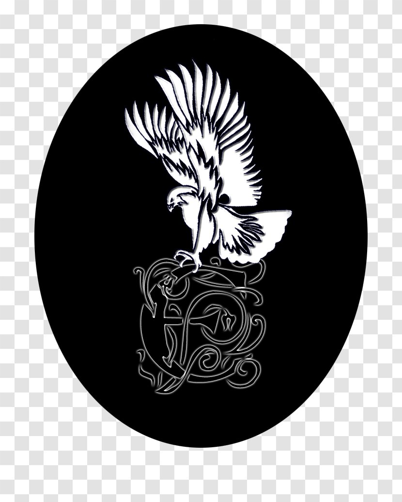 Hawk Font - Logo Transparent PNG