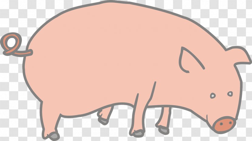 Miniature Pig Vietnamese Pot-bellied Clip Art - Farming Transparent PNG