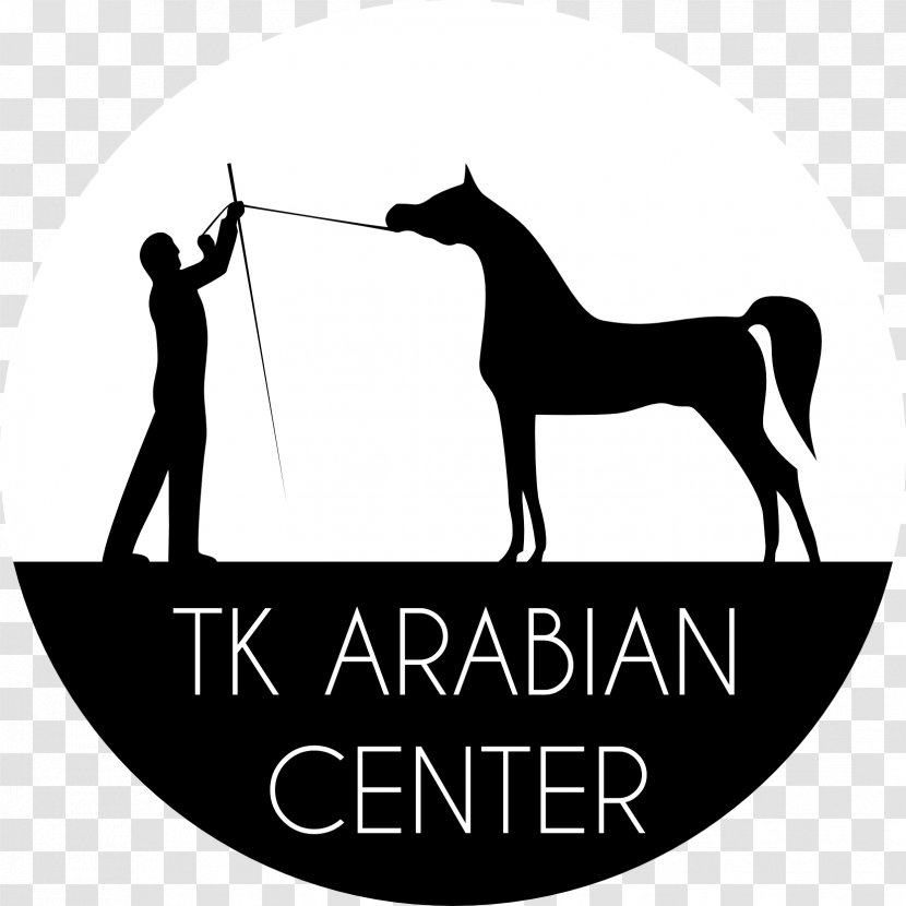 W. K. Kellogg Arabian Horse Center Mustang Stallion Colt Transparent PNG