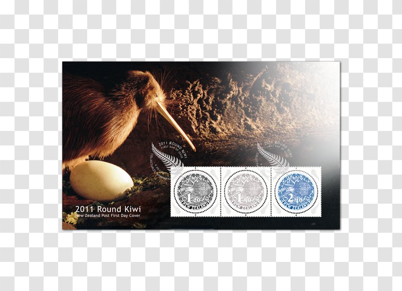 Stock Photography Little Spotted Kiwi Bird Alamy Transparent PNG
