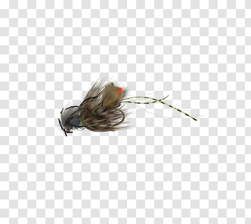 Crayfish Fly Fishing Clouser Deep Minnow Bass The - Precision - Trout Flies Transparent PNG
