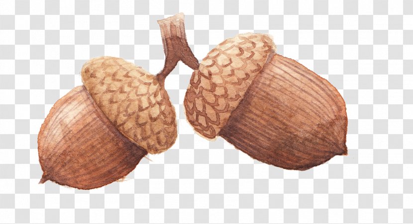 Nut Commodity - Sound Made By A Hen Transparent PNG