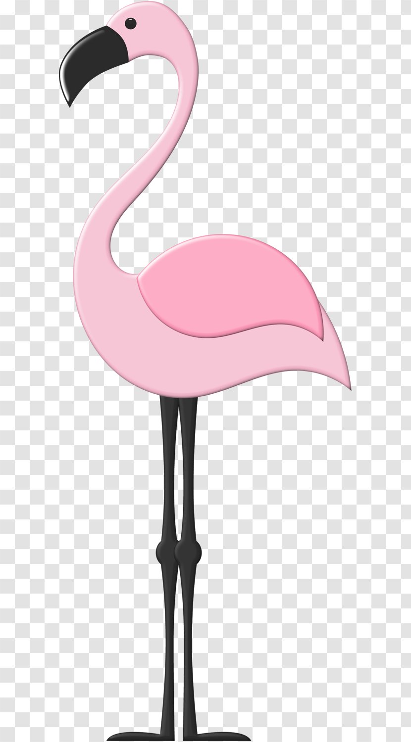 Flamingos Bird Paper Pin Clip Art - Drawing Transparent PNG