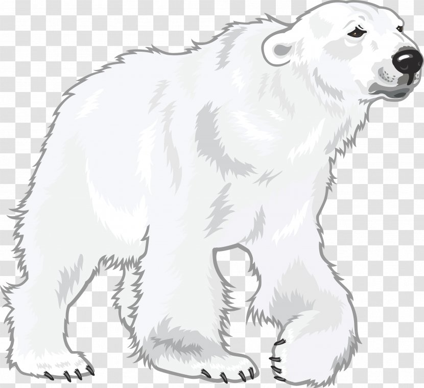 Polar Bear Cuteness - Cartoon - White Transparent PNG