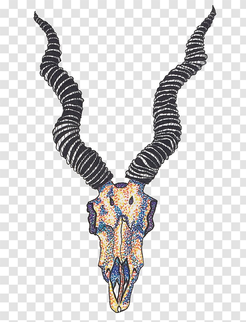 Art Exhibition Graffiti Drawing - Necklace - Skull Color Transparent PNG
