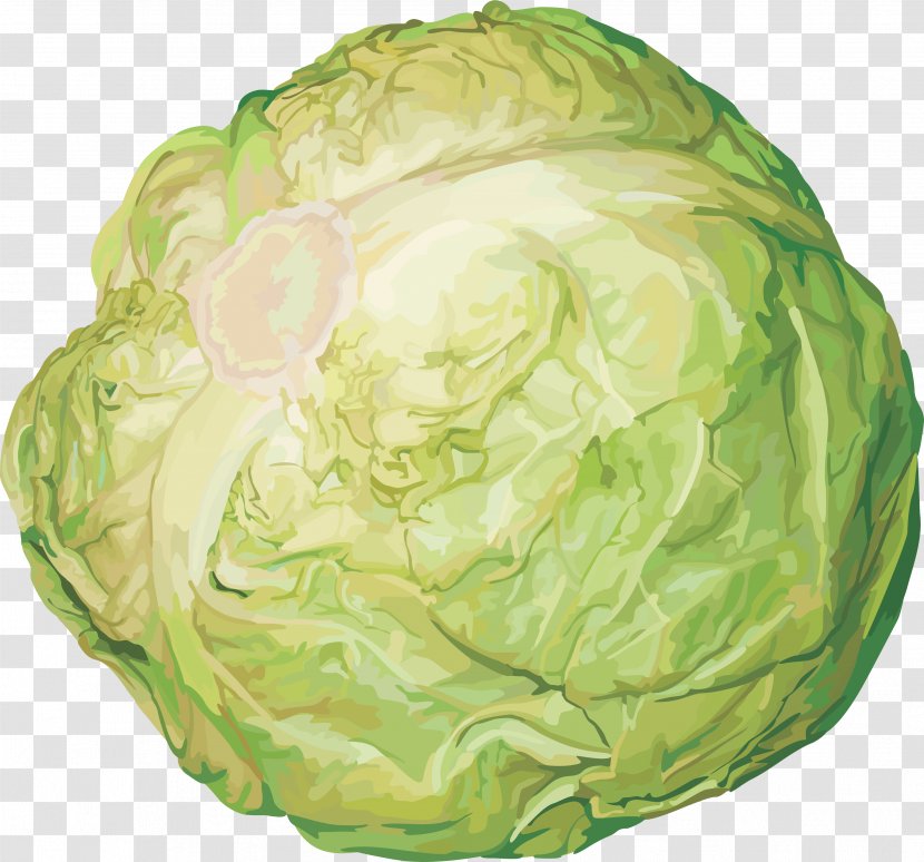 Cabbage Stew Red Food - Frame - Image Transparent PNG