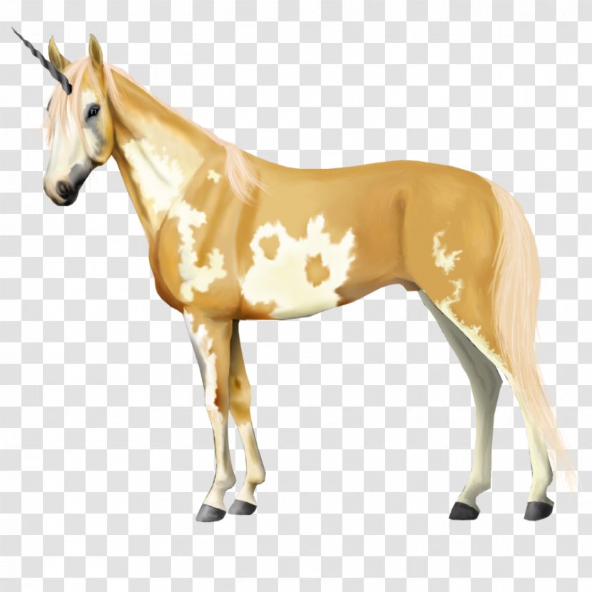 Mule Mustang Foal Stallion Mare - Animal Figure Transparent PNG