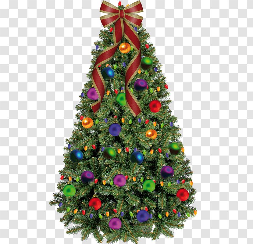 Christmas Tree - Conifer - Trees Transparent PNG