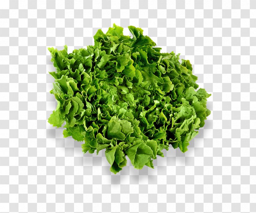 Salad Vegetable Cub Foods Spinach - Leaf Transparent PNG