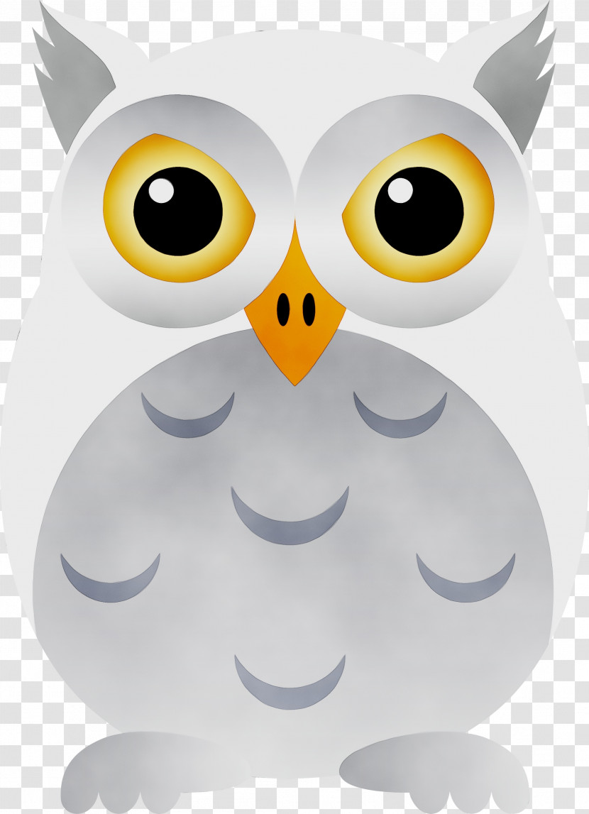 Beak Owl M Snout Transparent PNG