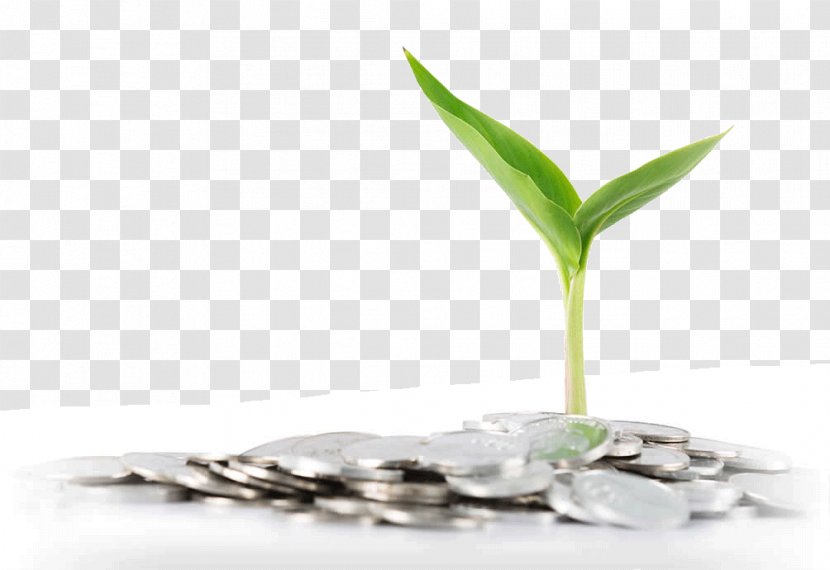 Coaching Cowra Money Training Saving - Leaf - Savings Account Transparent PNG