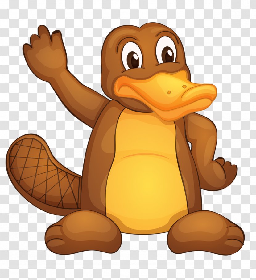 Perry The Platypus Clip Art - Cartoon - Cute Pictures Of Platypuses Transparent PNG