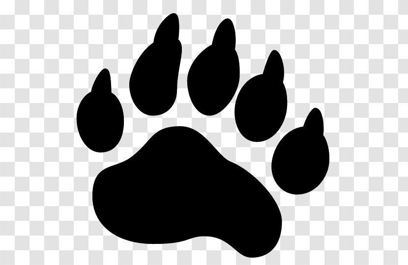 American Black Bear Paw - And White Transparent PNG