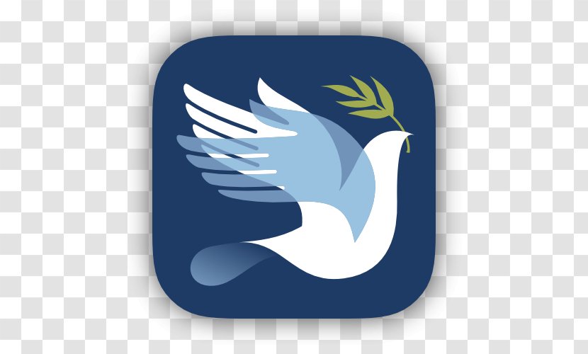 Prayer Amen App Store - Wing - Pray Transparent PNG