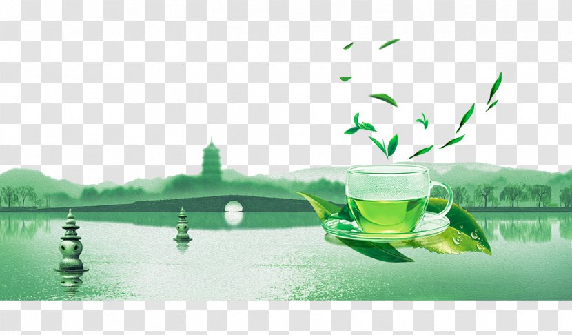 West Lake Longjing Tea Poster - Green - Scenery Transparent PNG